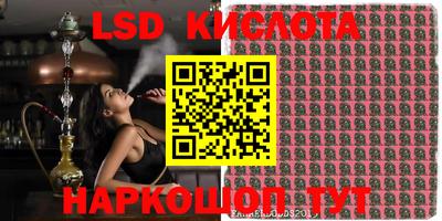 круглые Кингисепп