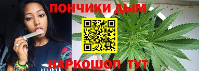 шишки Кимры