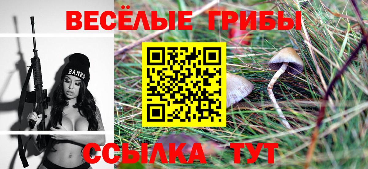 Псилоцибиновые грибы Psilocybe Ялта